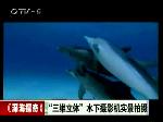 《深海探奇》迪士尼历时7年制作