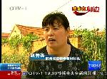 赵秀英：勤劳朴实的“兵妈妈”