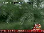 爱狗去世，葬在小区绿地里