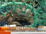 时辰未到 螃蟹提前上市？