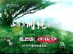 《山楂树之恋》——2010年度纯爱巨献