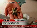 怪事儿！市场买的黑豆咋还掉色？