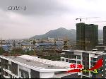 青岛综合经济实力实现历史性跃升
