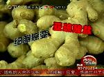 记者实验 硫磺姜到底是啥样