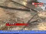 违建3000坪 砍树800棵