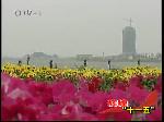 “四大举措”打造城乡建设一体化