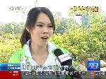 来自青岛的亚运志愿者