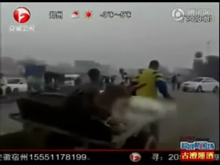 人当司机 驴翻身变成乘客