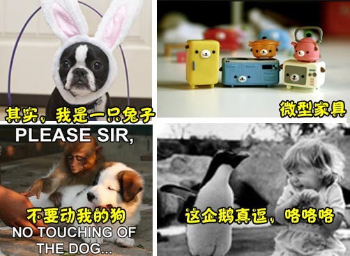 开心趣图：有事没事乐一乐  祝网友们周末愉快