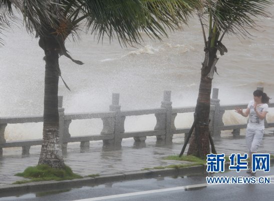 台风“灿都”登陆广东 带来狂风暴雨