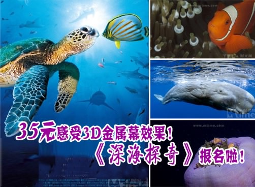 35元看3D《深海探奇》！快来报名