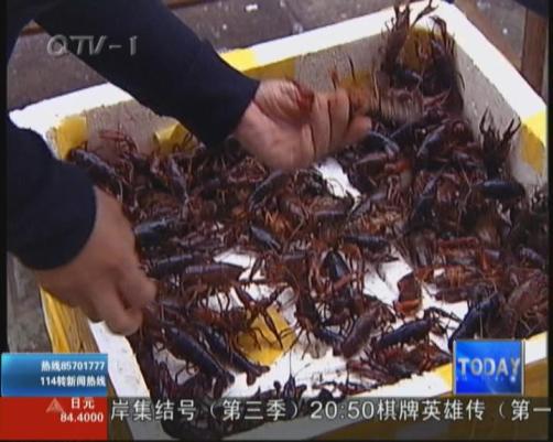 “洗虾粉”事件影响岛城龙虾销量