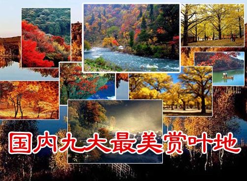 国内九大最美赏叶地