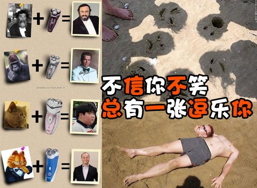不信你不笑 总有一张逗乐你