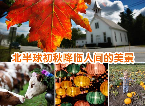 秋天悄然降临北半球，树叶呈现缤纷色彩
