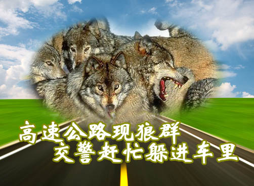 惊险画面被监控录像拍下