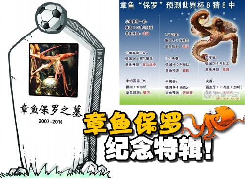 网友论坛发帖用影像、图片怀念章鱼保罗