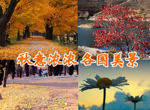 各国秋意浓 落叶美如醉