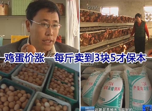 鸡蛋价涨　每斤卖到3块5才保本