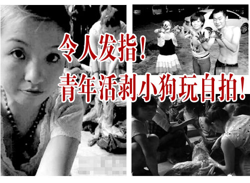 男女街头活剥小狗自拍，网友要公愤“人肉”