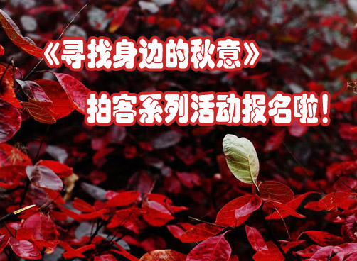 网友召集：拍摄青岛最美丽的秋天