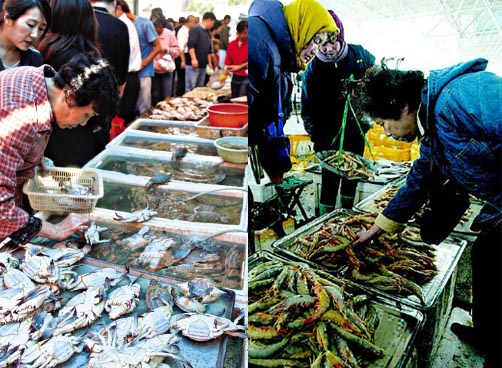 岛城水产品市场经营惨淡 海鲜降价