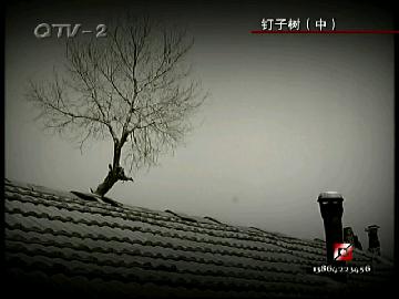 玉树救援 见证国家的力量