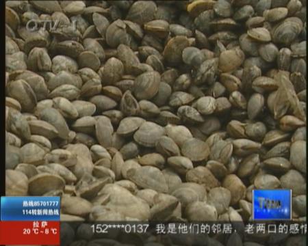 竞争激烈  红岛蛤蜊如何冲出危机