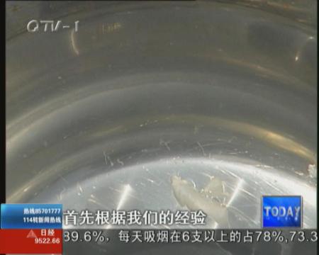 买白菜包饺子  洗出闹心虫子