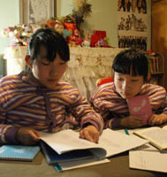 赵文静、赵雅静