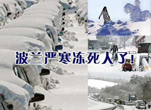 寒冬导致波兰近300人被冻死