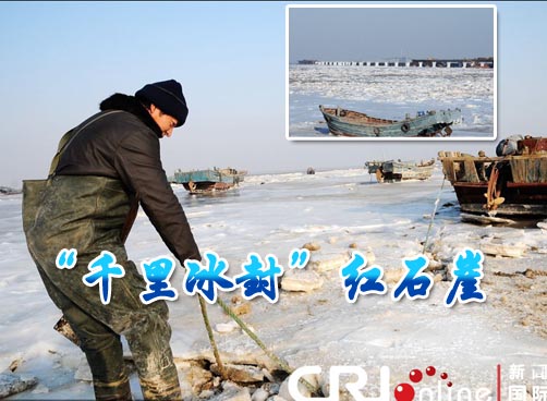 同时，冰封了十几天的东营码头终于化冻