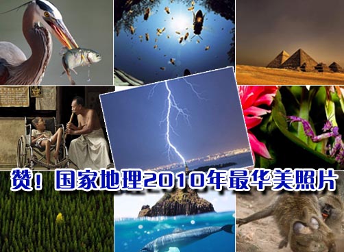 捕捉精彩瞬间 纵览世界奇观