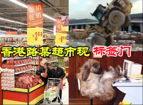 叨岛村：史上最欠揍的动物；网友笑批兔年春晚