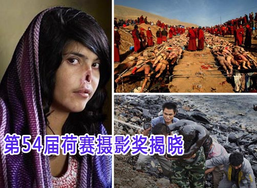 《遭割鼻阿富汗女孩爱莎》获年度图片