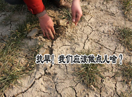 145天无降水，岛城旱情达150年一遇