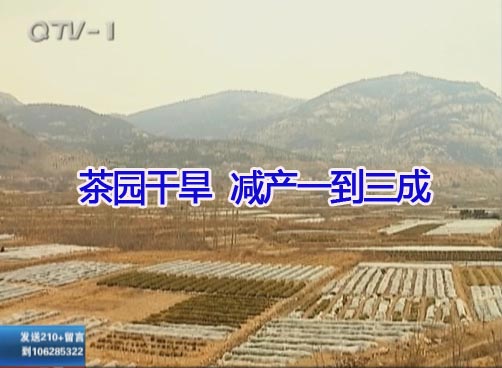 上葛社区打井缓旱情 深井今喷水