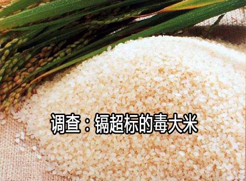 毒大米镉超标 损伤肾脏最厉害