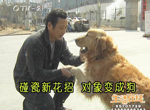 声称被狗咬伤要钱 遛狗遇到碰瓷人