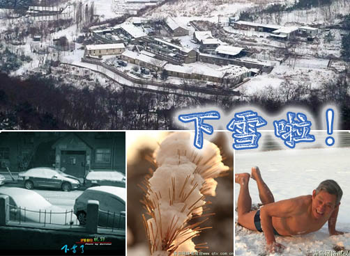 瑞雪兆丰年！本网拍客【雪景】抓拍给力推荐