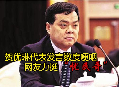 人大代表贺优琳在广东团全团审议发言时数度哽咽获掌声
