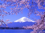 一旅游团改变航线避过日本震区