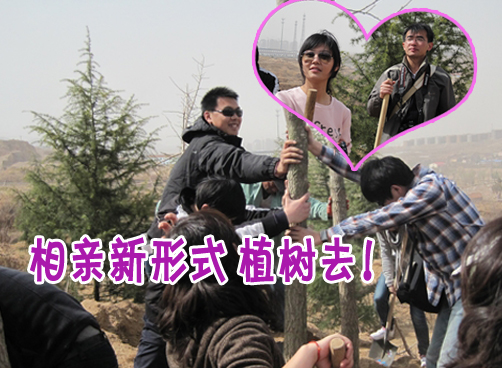 单身男女户外活动 植树也相亲