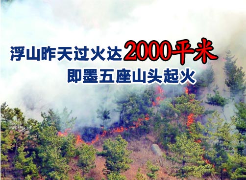 烧纸钱放鞭炮不断 火情均疑与清明祭扫有关