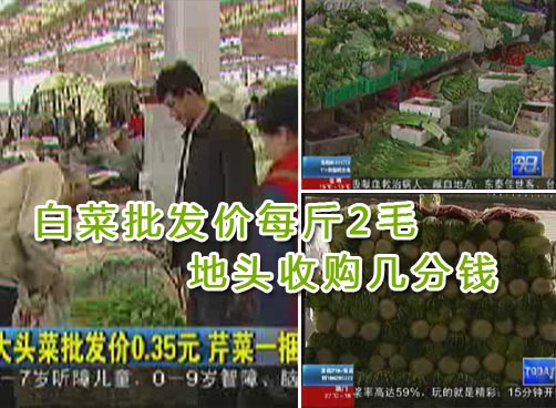 菜贱伤农 如何让更多便宜菜走上餐桌