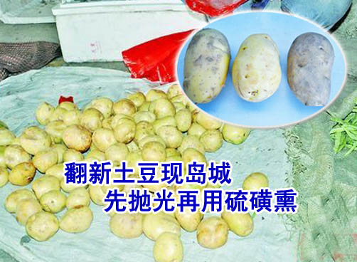 摊主爆料陈土豆变身“新土豆”