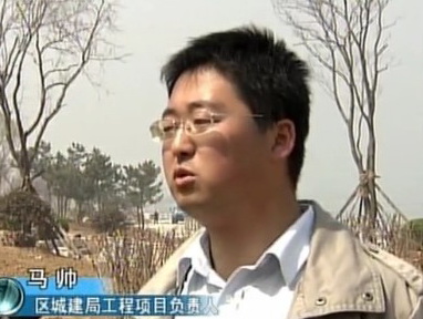 唐岛湾南岸绿化工程效果初现