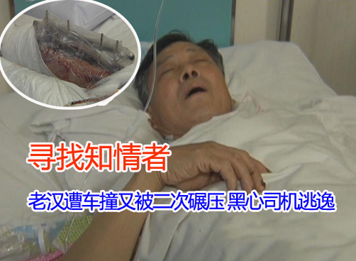 如此无人性令人发指 请知情人提供信息
