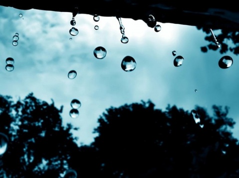 青岛将连续几天降雨 有望解除旱情