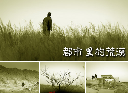 都市里的荒漠，中国迪拜幻想止步？